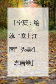 宁夏：绘就“塞上江南”秀美生态画卷