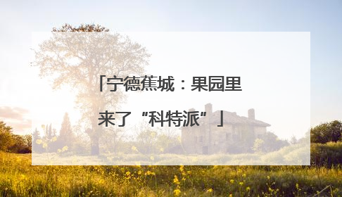 宁德蕉城：果园里来了“科特派”