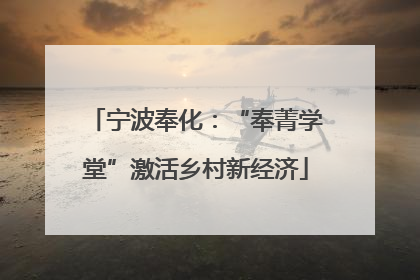 宁波奉化：“奉菁学堂”激活乡村新经济