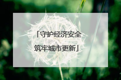 守护经济安全 筑牢城市更新