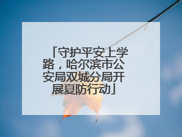 守护平安上学路，哈尔滨市公安局双城分局开展夏防行动