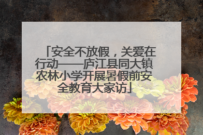 安全不放假，关爱在行动——庐江县同大镇农林小学开展暑假前安全教育大家访