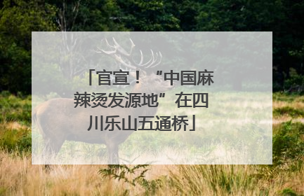 官宣！“中国麻辣烫发源地”在四川乐山五通桥