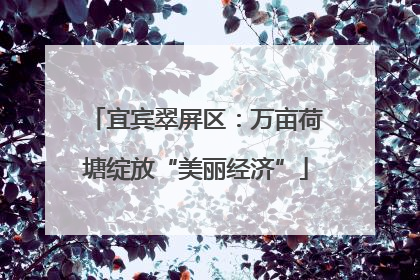 宜宾翠屏区：万亩荷塘绽放“美丽经济”