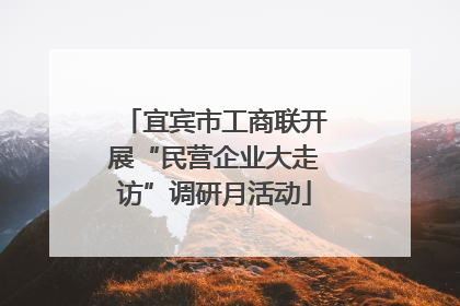 宜宾市工商联开展“民营企业大走访”调研月活动