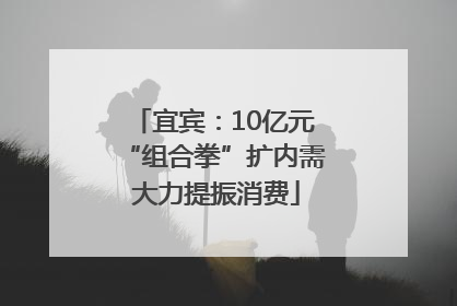 宜宾：10亿元“组合拳”扩内需 大力提振消费