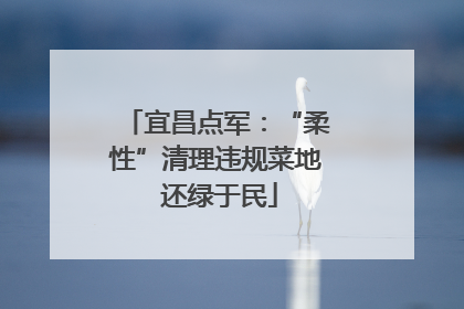 宜昌点军：“柔性”清理违规菜地 还绿于民