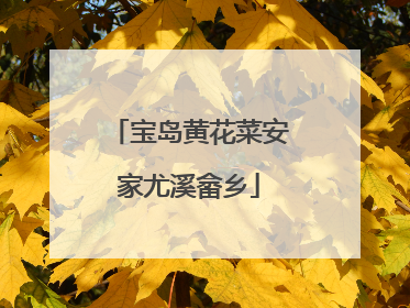 宝岛黄花菜安家尤溪畲乡