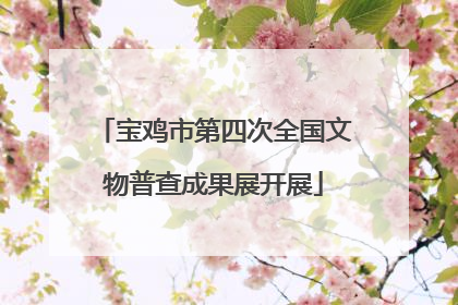 宝鸡市第四次全国文物普查成果展开展