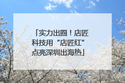 实力出圈！店匠科技用“店匠红”点亮深圳出海热