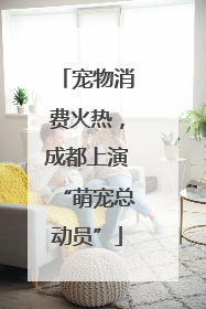 宠物消费火热，成都上演“萌宠总动员”
