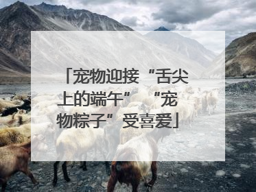 宠物迎接“舌尖上的端午” “宠物粽子”受喜爱