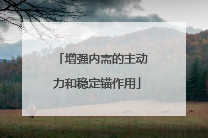增强内需的主动力和稳定锚作用