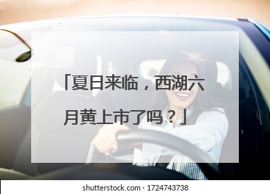 夏日来临，西湖六月黄上市了吗？