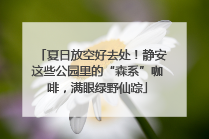 夏日放空好去处！静安这些公园里的“森系”咖啡，满眼绿野仙踪