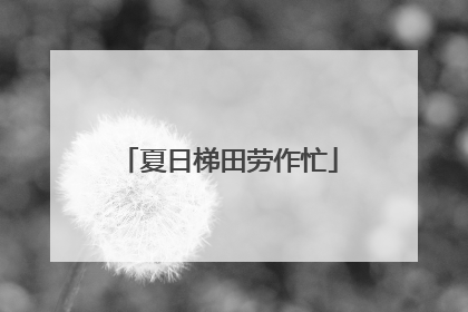夏日梯田劳作忙