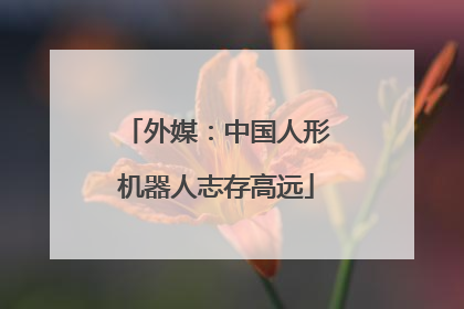 外媒：中国人形机器人志存高远