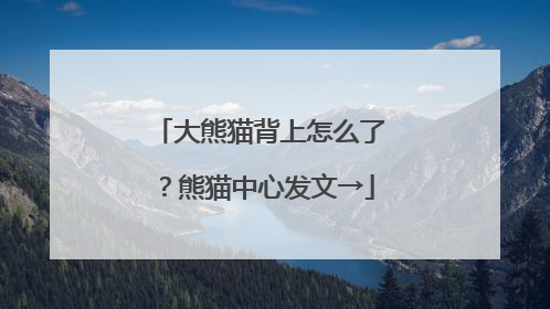 大熊猫背上怎么了？熊猫中心发文→