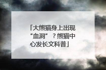 大熊猫身上出现“血洞”？熊猫中心发长文科普