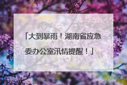 大到暴雨！湖南省应急委办公室汛情提醒！