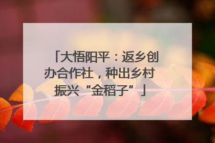 大悟阳平：返乡创办合作社，种出乡村振兴“金稻子”