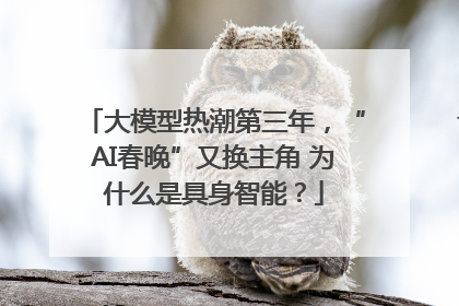 大模型热潮第三年，“AI春晚”又换主角 为什么是具身智能？