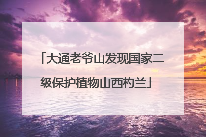 大通老爷山发现国家二级保护植物山西杓兰