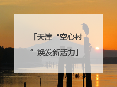 天津“空心村”焕发新活力