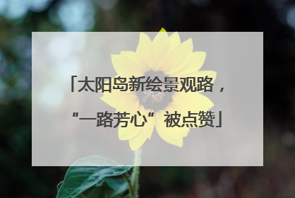 太阳岛新绘景观路，“一路芳心”被点赞