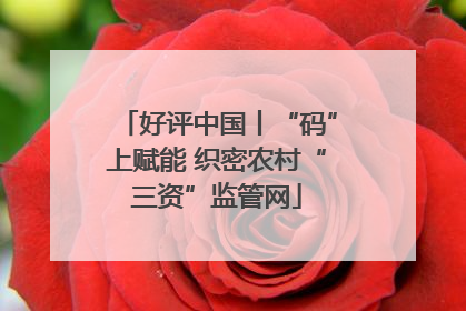 好评中国丨“码”上赋能 织密农村“三资”监管网