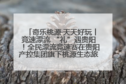 奇乐桃源·天天好玩丨竞速漂流 “礼”遇贵阳！全民漂流竞速赛在贵阳产控集团旗下桃源生态旅游度假区举行