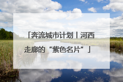 奔流城市计划丨河西走廊的“紫色名片”