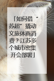 如何借“苏超”撬动文旅体商消费？江苏多个城市密集开会部署