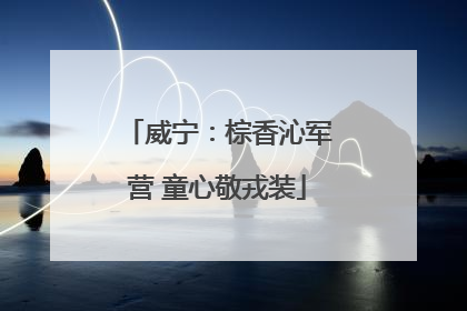 威宁：棕香沁军营 童心敬戎装