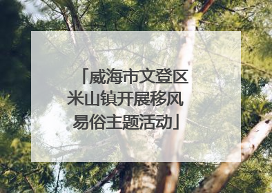 威海市文登区米山镇开展移风易俗主题活动