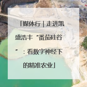 媒体行｜走进凯盛浩丰“番茄硅谷”：看数字神经下的精准农业