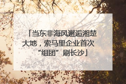 当东非海风邂逅湘楚大地，索马里企业首次“组团”刷长沙