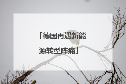 德国再遇新能源转型阵痛
