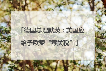 德国总理默茨：美国应给予欧盟“零关税”