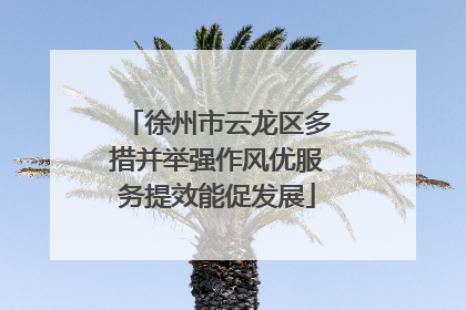 徐州市云龙区多措并举强作风优服务提效能促发展
