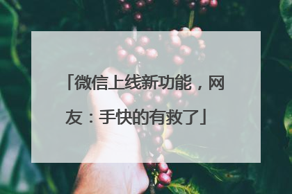 微信上线新功能，网友：手快的有救了