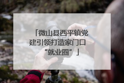 微山县西平镇党建引领打造家门口“就业圈”