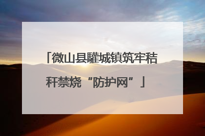 微山县驩城镇筑牢秸秆禁烧“防护网”