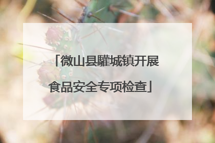 微山县驩城镇开展食品安全专项检查