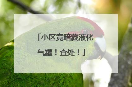 小区竟暗藏液化气罐！查处！