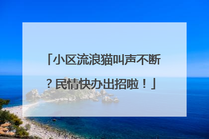 小区流浪猫叫声不断？民情快办出招啦！