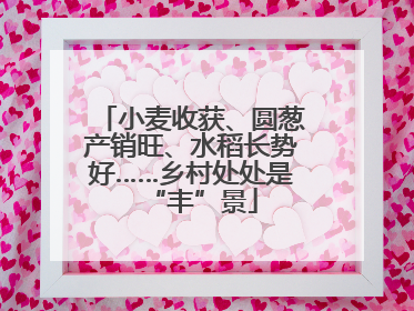 小麦收获、圆葱产销旺、水稻长势好……乡村处处是“丰”景