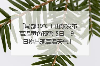 局部39℃！山东发布高温黄色预警 5日—9日将出现高温天气