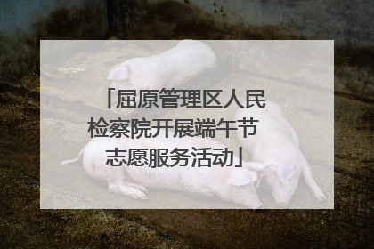 屈原管理区人民检察院开展端午节志愿服务活动