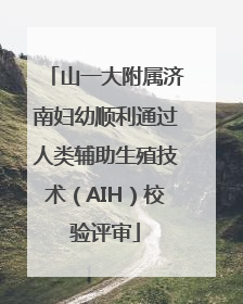 山一大附属济南妇幼顺利通过人类辅助生殖技术（AIH）校验评审